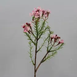 Short Wax Flower Pick 27cm Pink