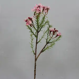 1. Short Wax Flower Pick 27cm Pink thumbnail