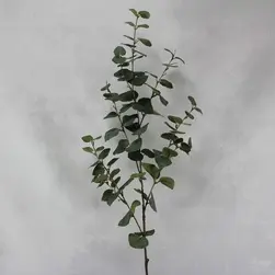Tall Round Leaf Eucalyptus Gum Spray Green 100cm