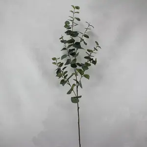 1. Tall Round Leaf Eucalyptus Gum Spray Green 106cm thumbnail
