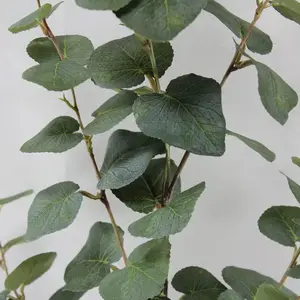 2. Tall Round Leaf Eucalyptus Gum Spray Green 106cm thumbnail