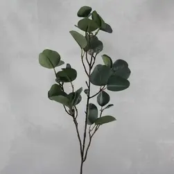 Broad Leaf Eucalyptus Gum Spray with Small Gumnuts 81cm Grey
