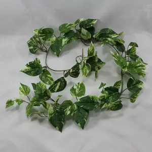 Pothos Vine Garland 152cm