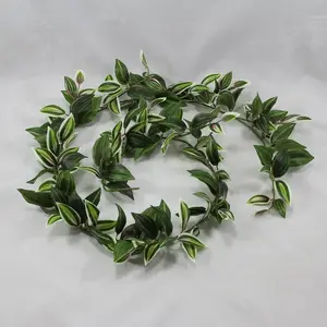 Wandering Jew Vine Garland 6ft Green