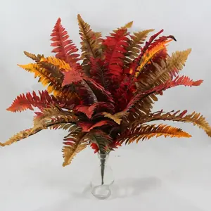 Boston Fern Autumn Shades 45cm