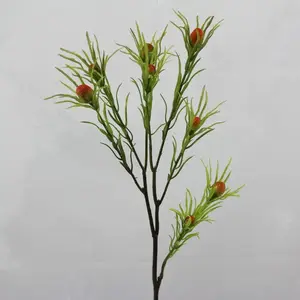 Leucadendron Spray 63cm 