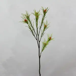 2. Leucadendron Spray 63cm  thumbnail