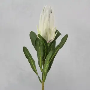 Protea 70cm Cream