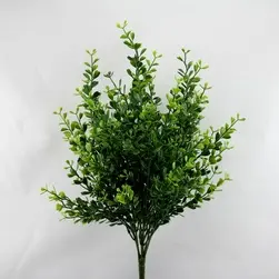 Boxwood Bush 40cm Green