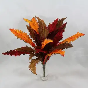 Margarintum Bush Autumn 60cm
