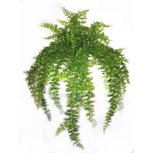 Medium Bakers Fern Hanging Bush 75cm