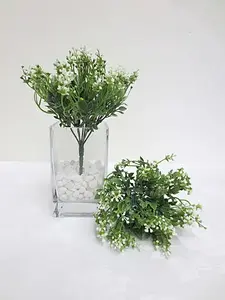 Mock Lime Bush 23cm