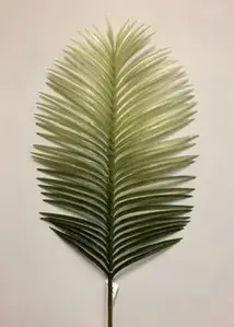 Giant Palm Leaf 68cm