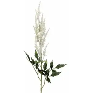 Astilbe Spray 89cm White