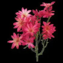 Sea Aster Daisy Spray 57cm Hot Pink