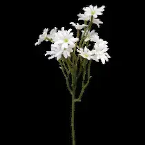 Sea Aster Daisy Spray 57cm White