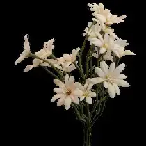Sea Aster Daisy Spray 57cm Antique Cream