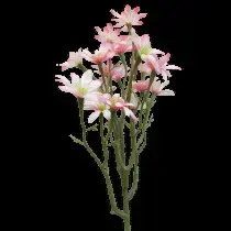 Sea Aster Daisy Spray 57cm Light Pink