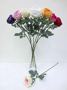 Single Cabbage Rose 72cm