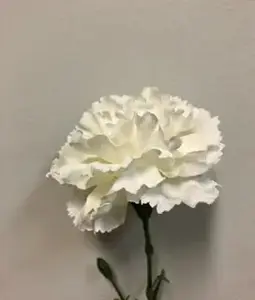 1. Single Carnation 61cm White thumbnail