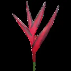 Small Heliconia Flower 79cm Red