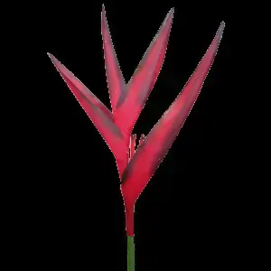 Small Heliconia Flower 79cm Red