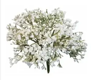 Baby's Breath Bouquet 28cm White