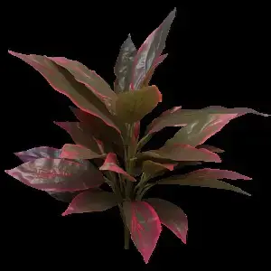 Real Touch Cordyline Bush Red/Green 58cm