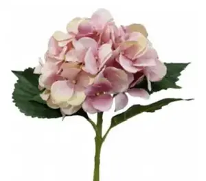 Classic Hydrangea 49cm Peach/Pink