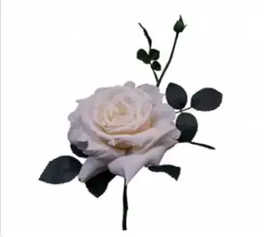 Quiannie Rose 42cm Cream