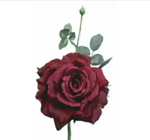 Quiannie Rose 42cm New Burgundy