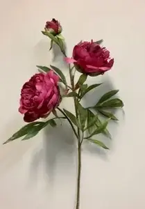 Peony Flower Spray 73cm Beauty