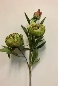 Peony Flower Spray 73cm Green