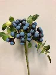Berry Cluster Blue 28cm