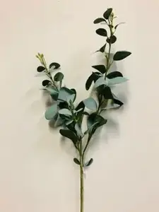 Eucalyptus Gum Spray 57cm