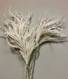 Pampas Grass Seed Head 96cm White