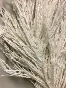 1. Pampas Grass Seed Head 96cm White thumbnail
