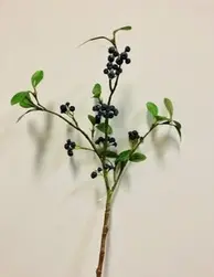 Lingonberry Spray 53cm Black/Blue