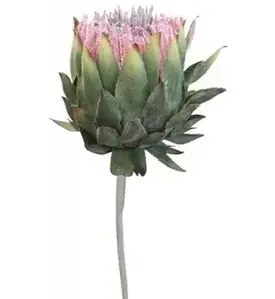 Protea 60cm Lavender