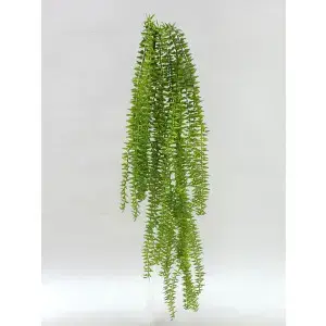 Huperzia Hanging Tassel Bush 90cm