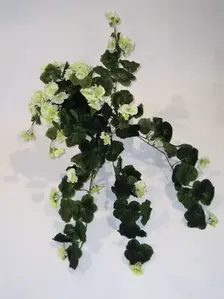 Geranium Hanging Bush White/Green 60cm