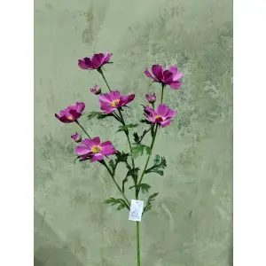 Tall Cosmos Spray 85cm Hot Pink