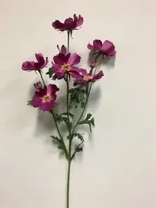 1. Tall Cosmos Spray 85cm Hot Pink thumbnail