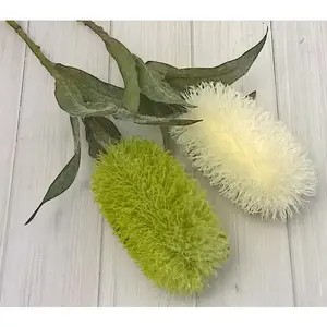 Medium Banksia 63cm White OR Green