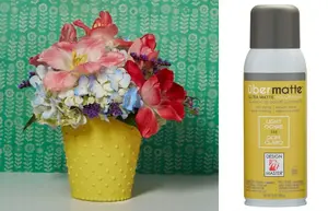 Design Master Ubermatte Spray Paint Light Ochre