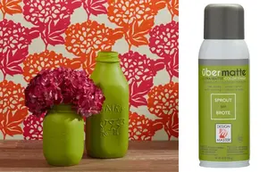 Design Master Ubermatte Spray Paint Sprout