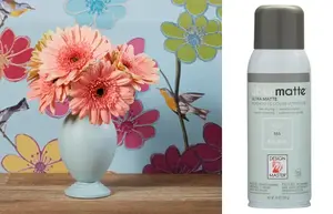 Design Master Ubermatte Spray Paint Mist