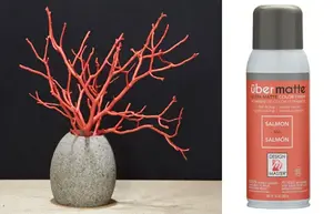 Design Master Ubermatte Spray Paint Salmon