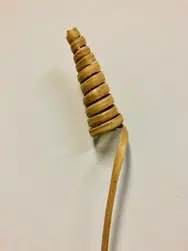 Natural Spiral Cane Stem 60cm