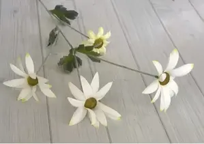 Flannel Flower Spray 76cm
